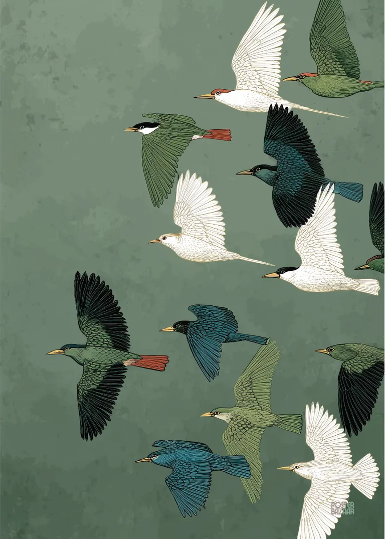 Flying Birds — kolorowe ptaki lecące na zielonym tle nieba